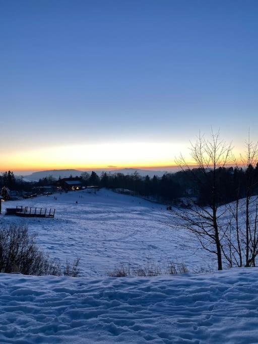 Ferienhaus Mountain View Six50 Mit Sauna Und Kamin In St. Andreasberg Sankt Andreasberg Dış mekan fotoğraf
