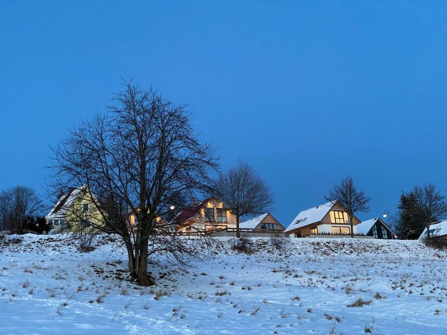 Ferienhaus Mountain View Six50 Mit Sauna Und Kamin In St. Andreasberg Sankt Andreasberg Dış mekan fotoğraf